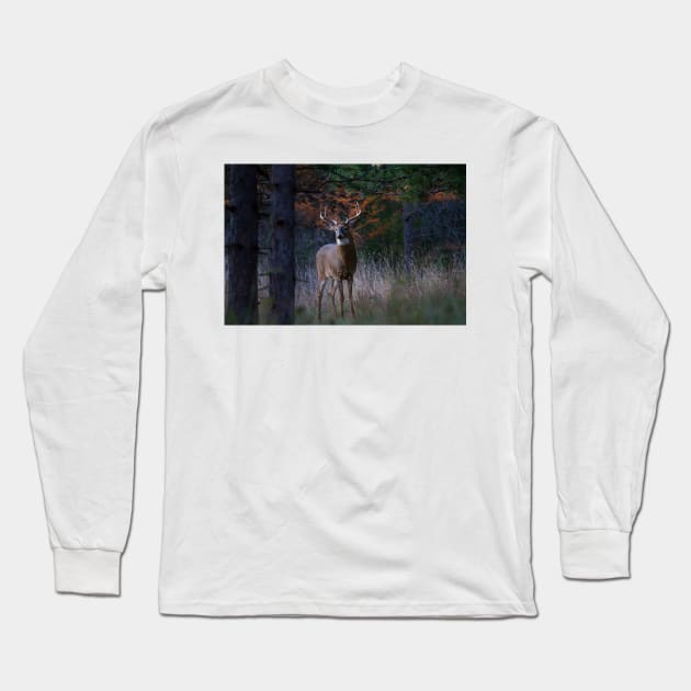 White-tailed Buck Long Sleeve T-Shirt by Jim Cumming